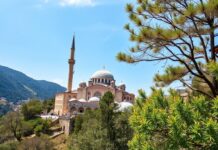 Türkiye’nin Gizli Hazineleri: Keşfedilmemiş Yollar ve Maceralar Turkey's Hidden Treasures: Unexplored Paths and Adventures